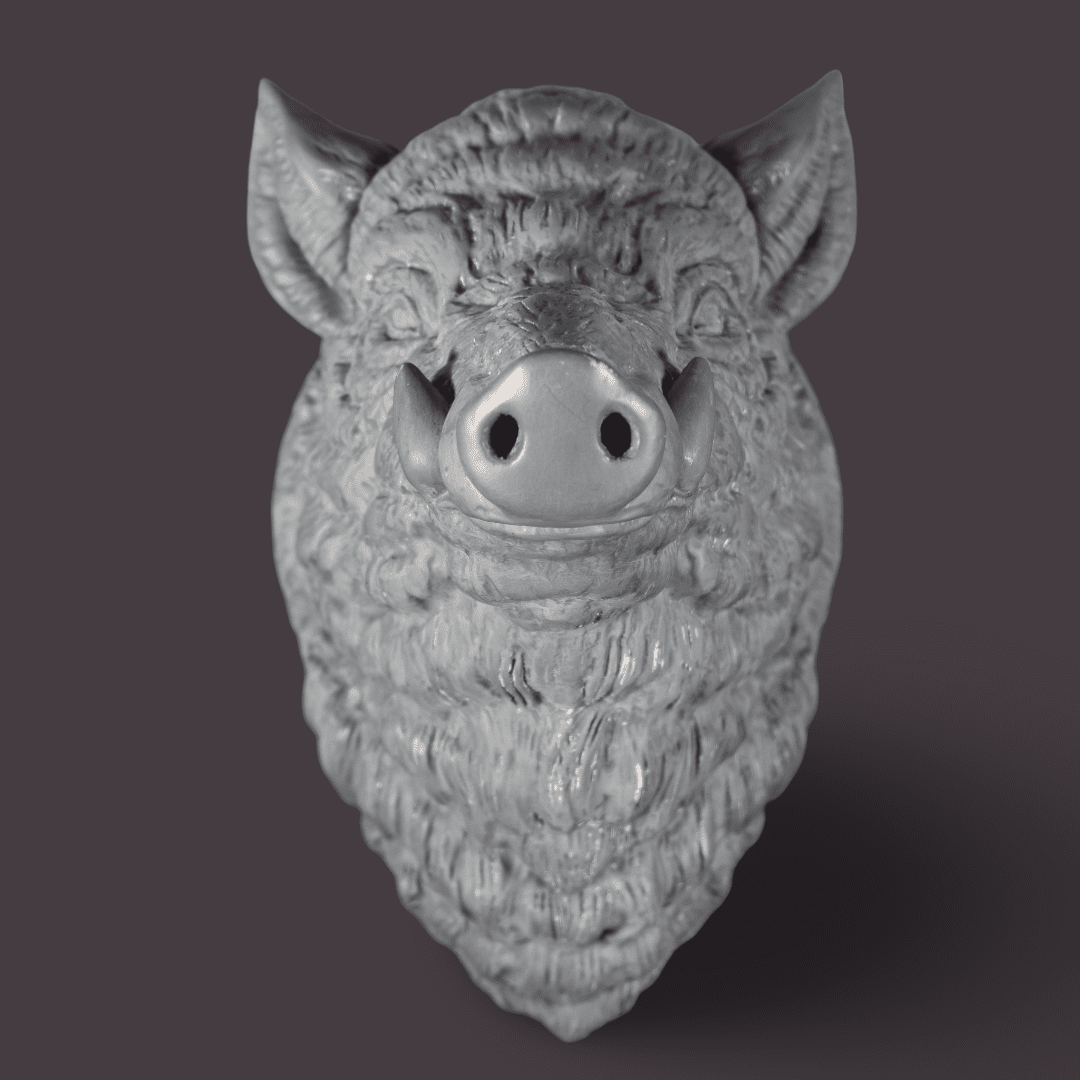 Wild Boar Wall Decor Raw Kit 3D Print