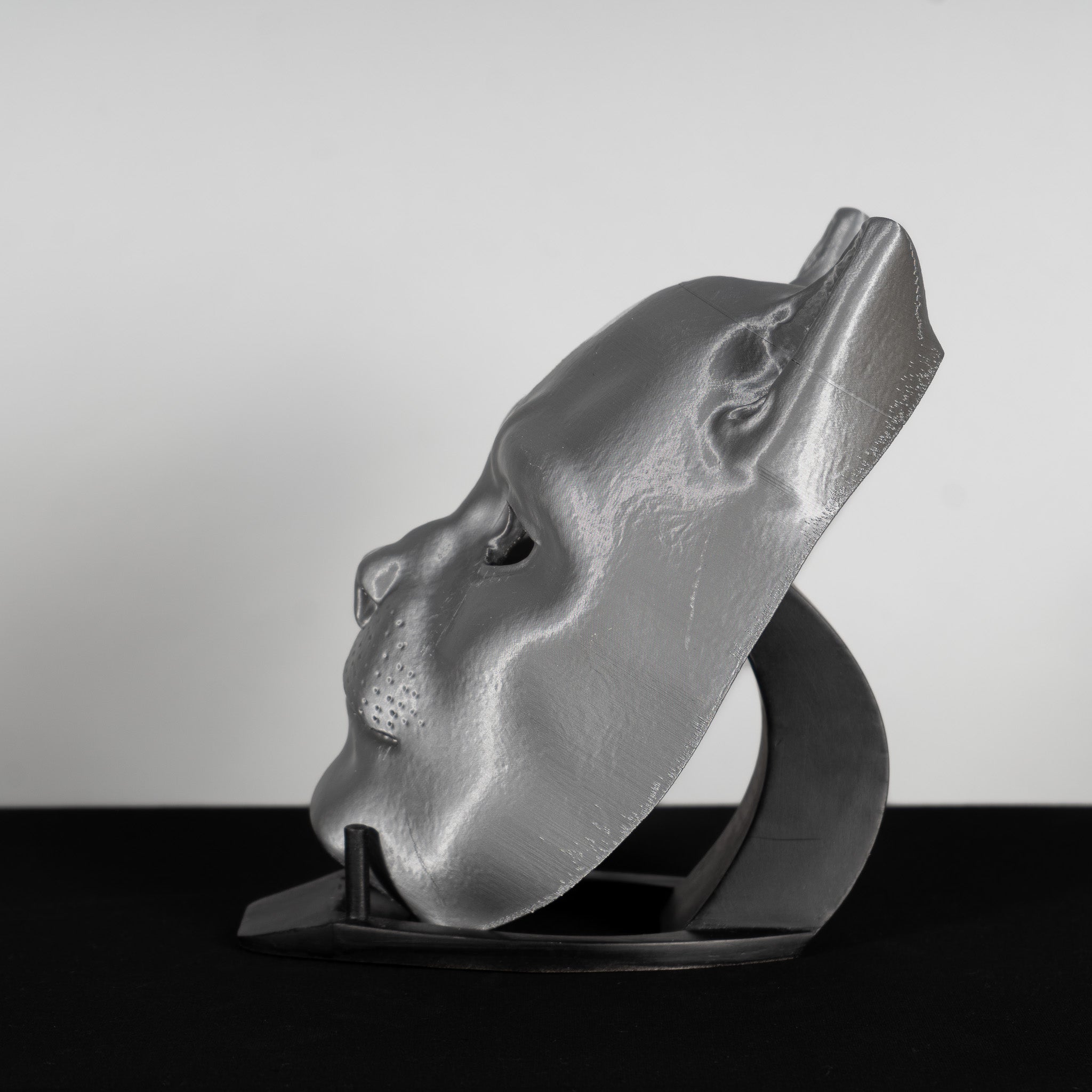 Cat Mask Raw Kit 3D Print