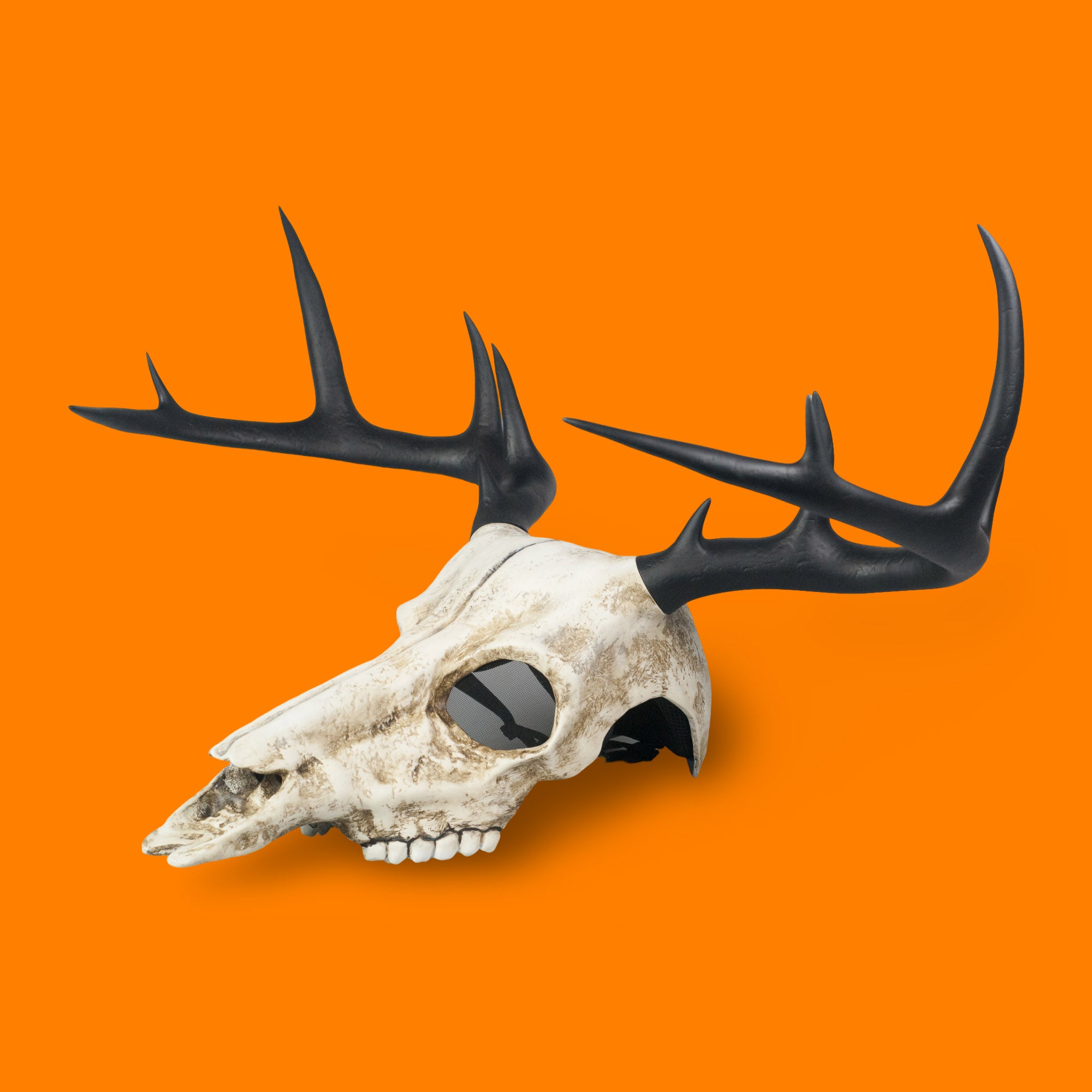 Deer Skull Mask with Large Black Antlers / Halloween Mask