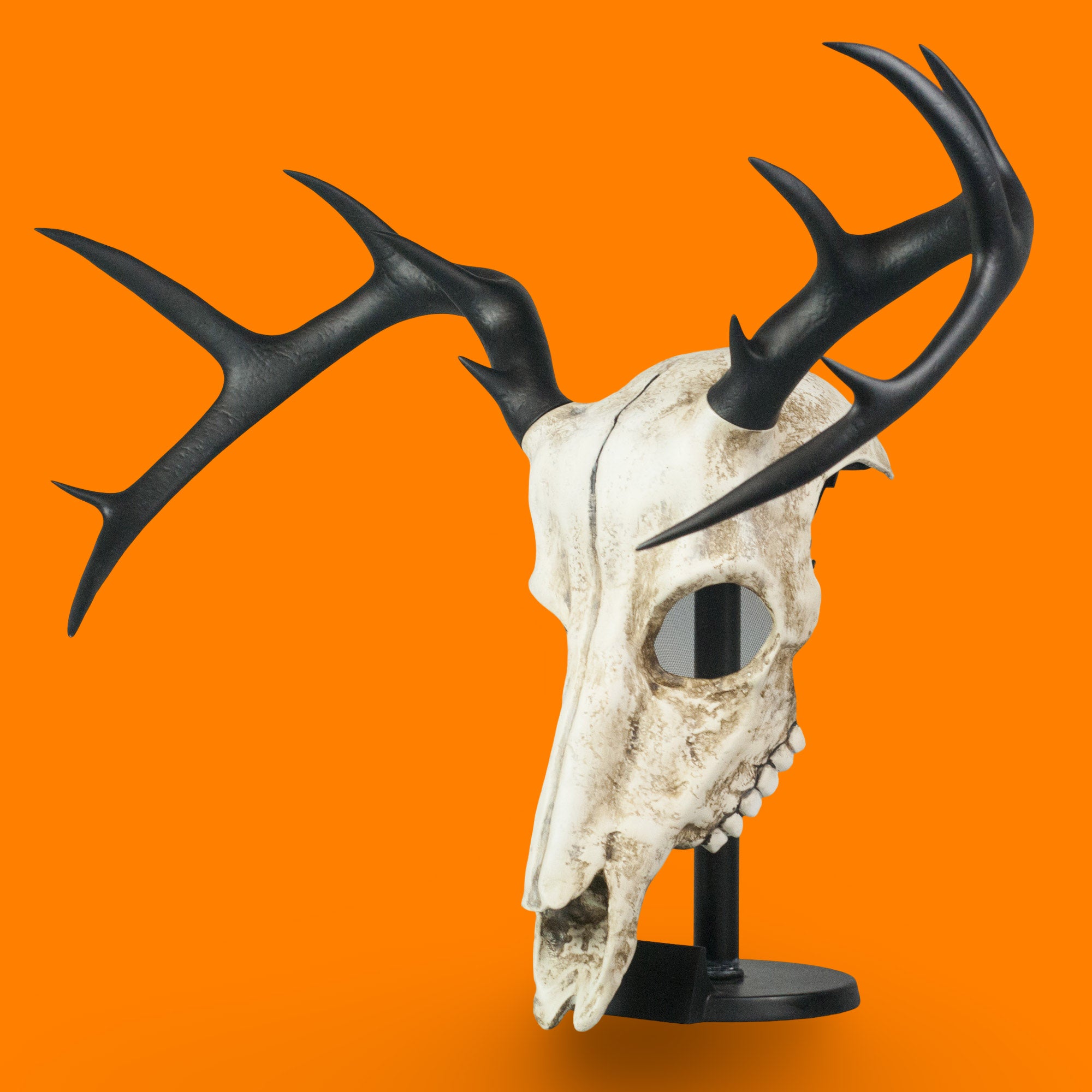 Deer Skull Mask with Large Black Antlers / Halloween Mask