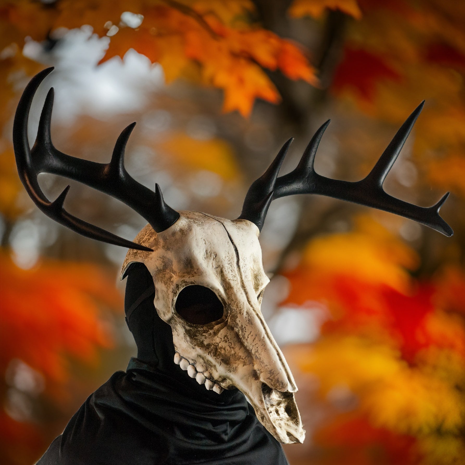 Deer Skull Mask with Large Black Antlers / Halloween Mask