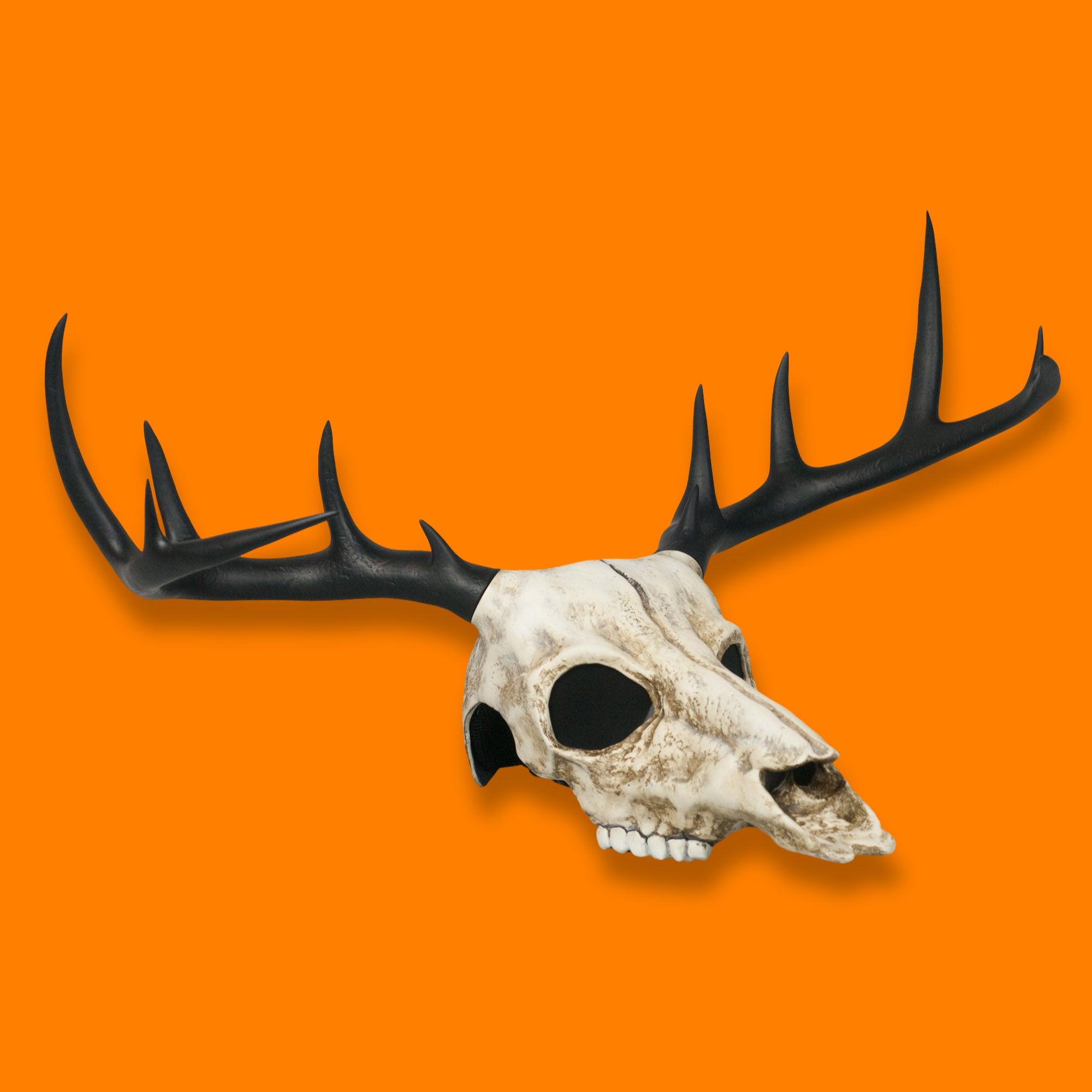 Deer Skull Mask with Large Black Antlers / Halloween Mask