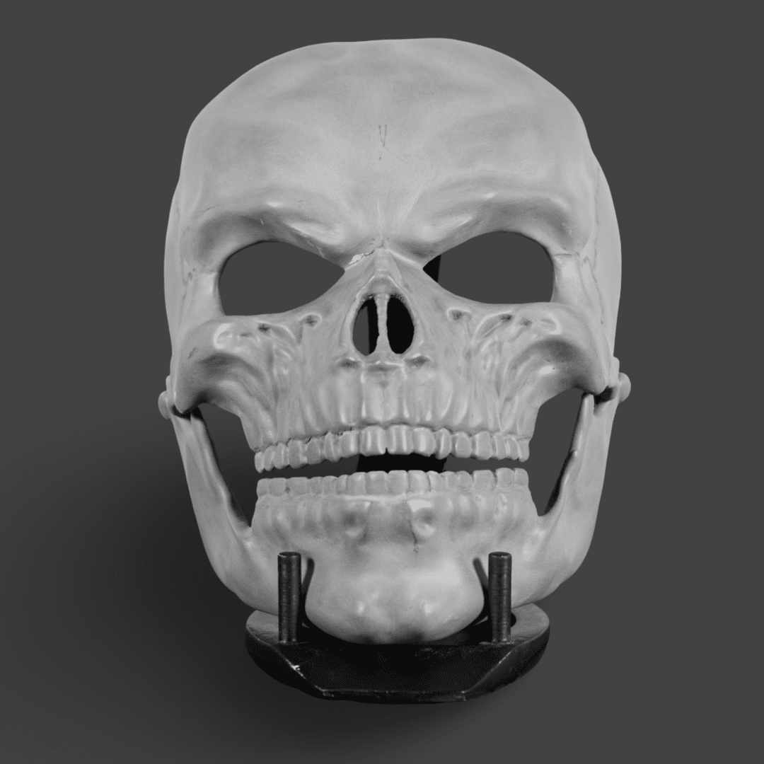 Human Skull Raw Kit 3D Print №6