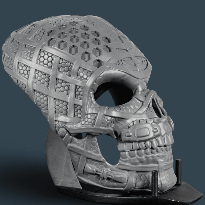 Human Skull Raw Kit 3D Print №3