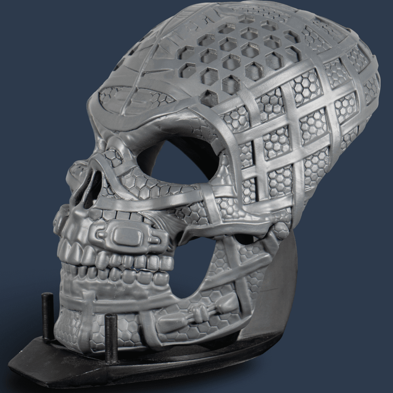 Human Skull Raw Kit 3D Print №3