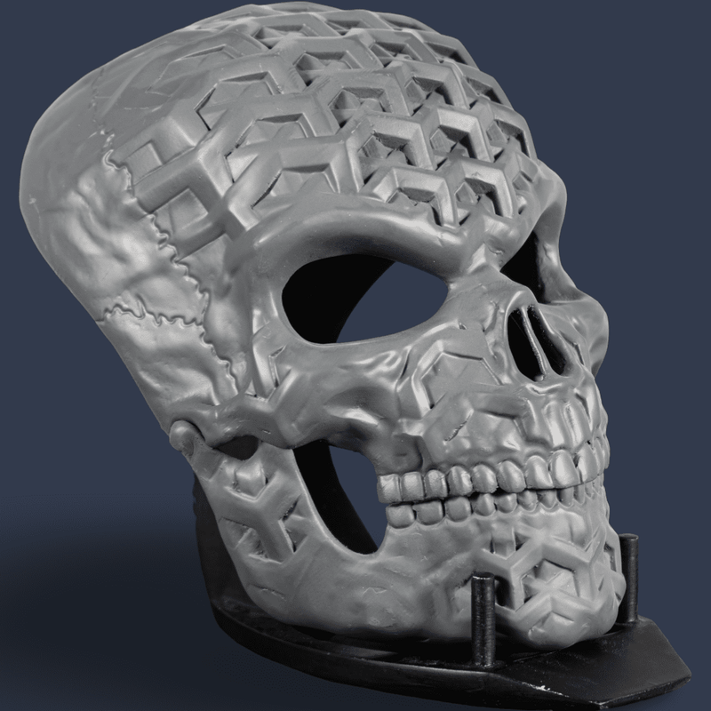 Human Skull Raw Kit 3D Print №4