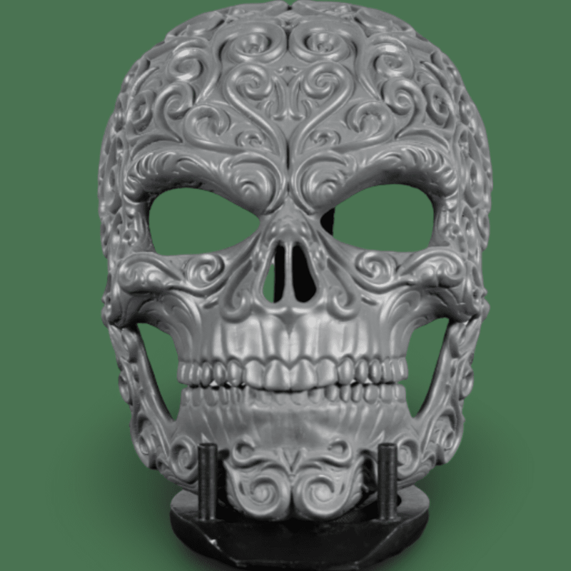 Human Skull Raw Kit 3D Print №5