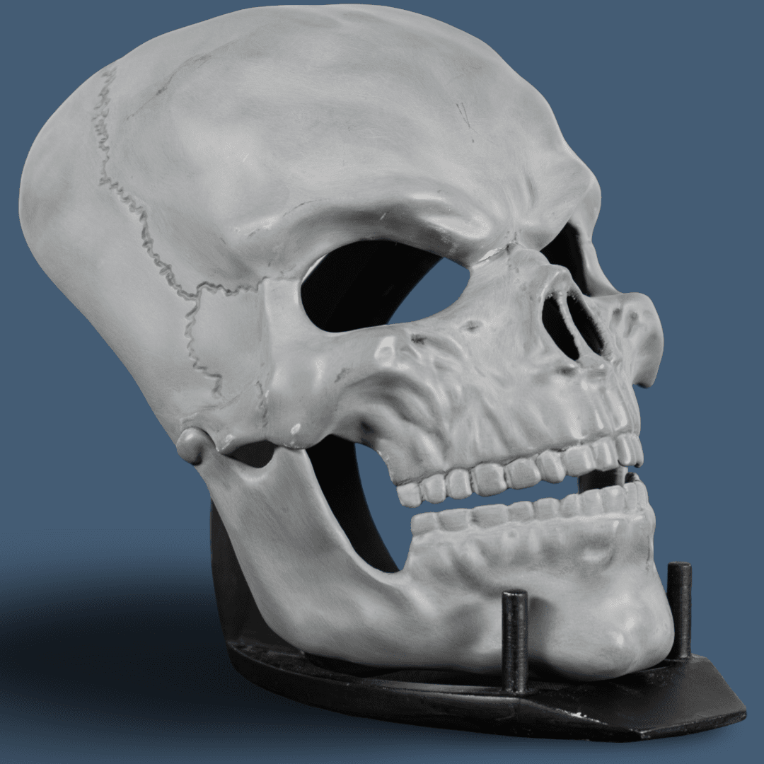 Human Skull Raw Kit 3D Print №6