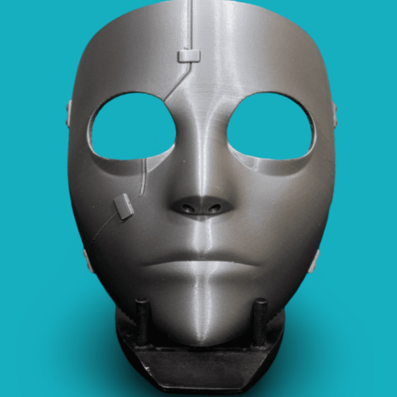 Sally Mask Raw Kits 3D Print