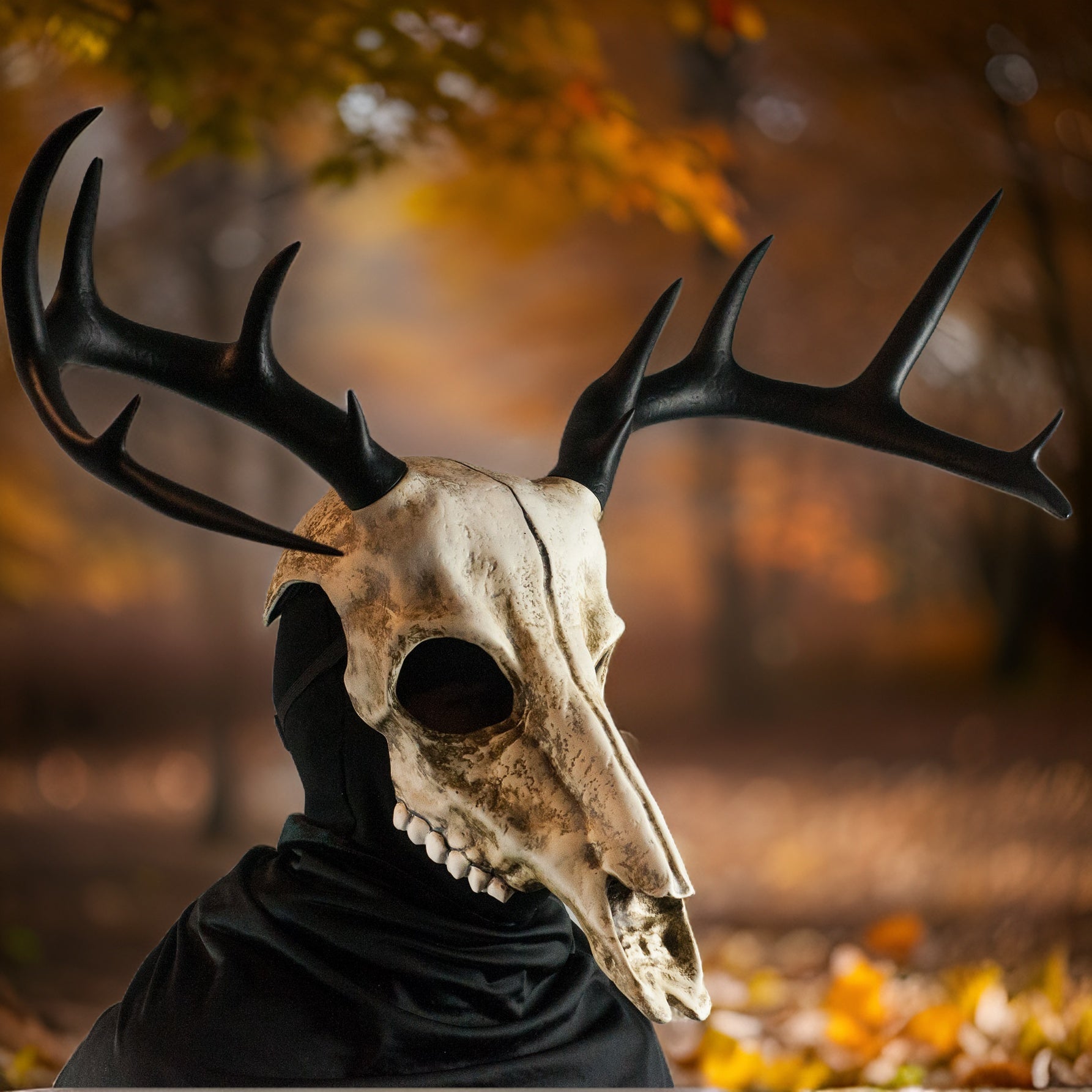 Deer Skull Mask with Large Black Antlers / Halloween Mask