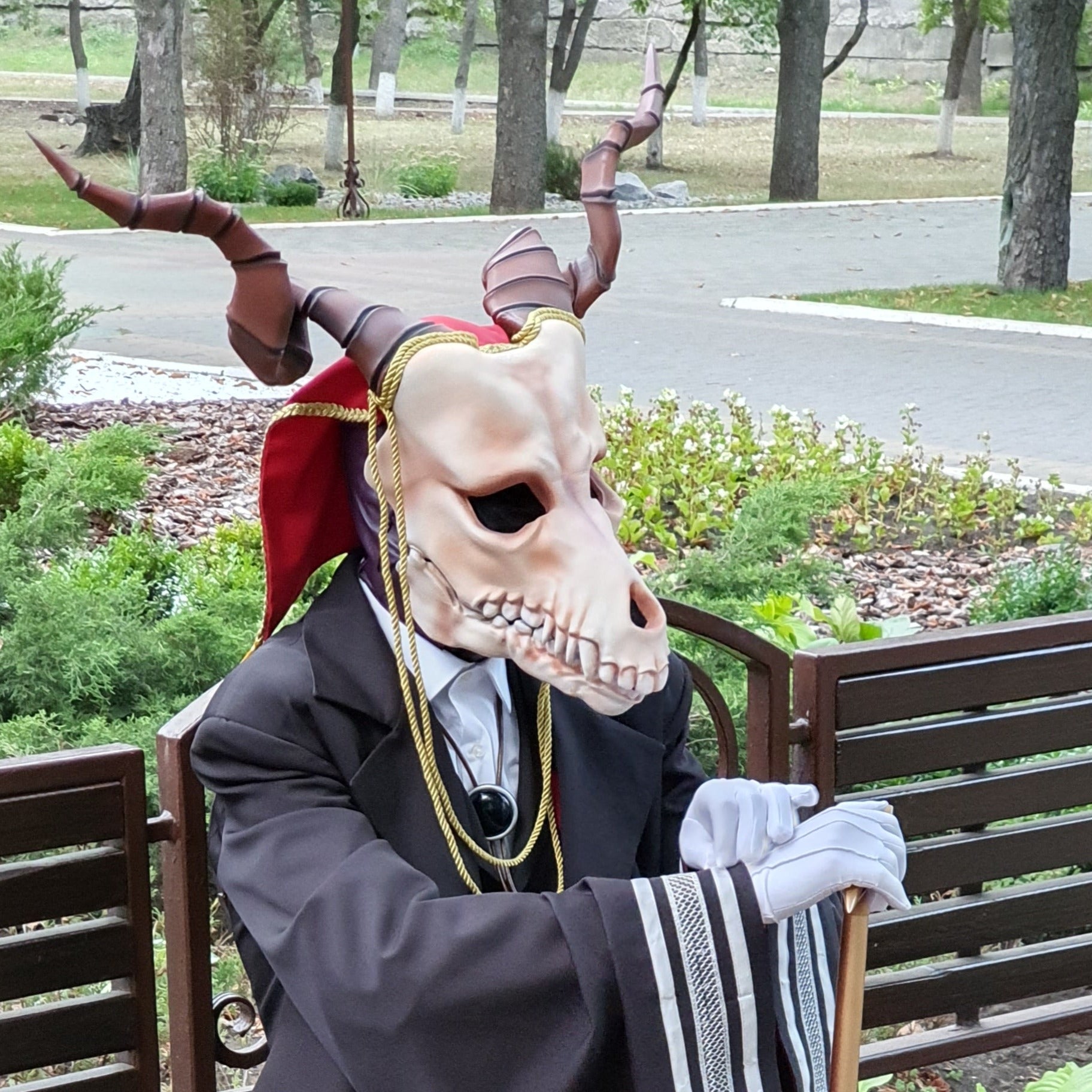 Elias Ainsworth Mask / Ancient Magician Mask / Wolf Skull mask with Goat Horns