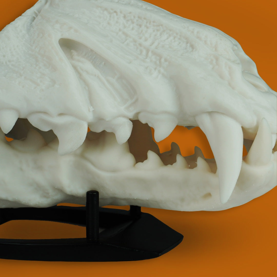 Wolf Skull Mask Raw Kit 3D Print