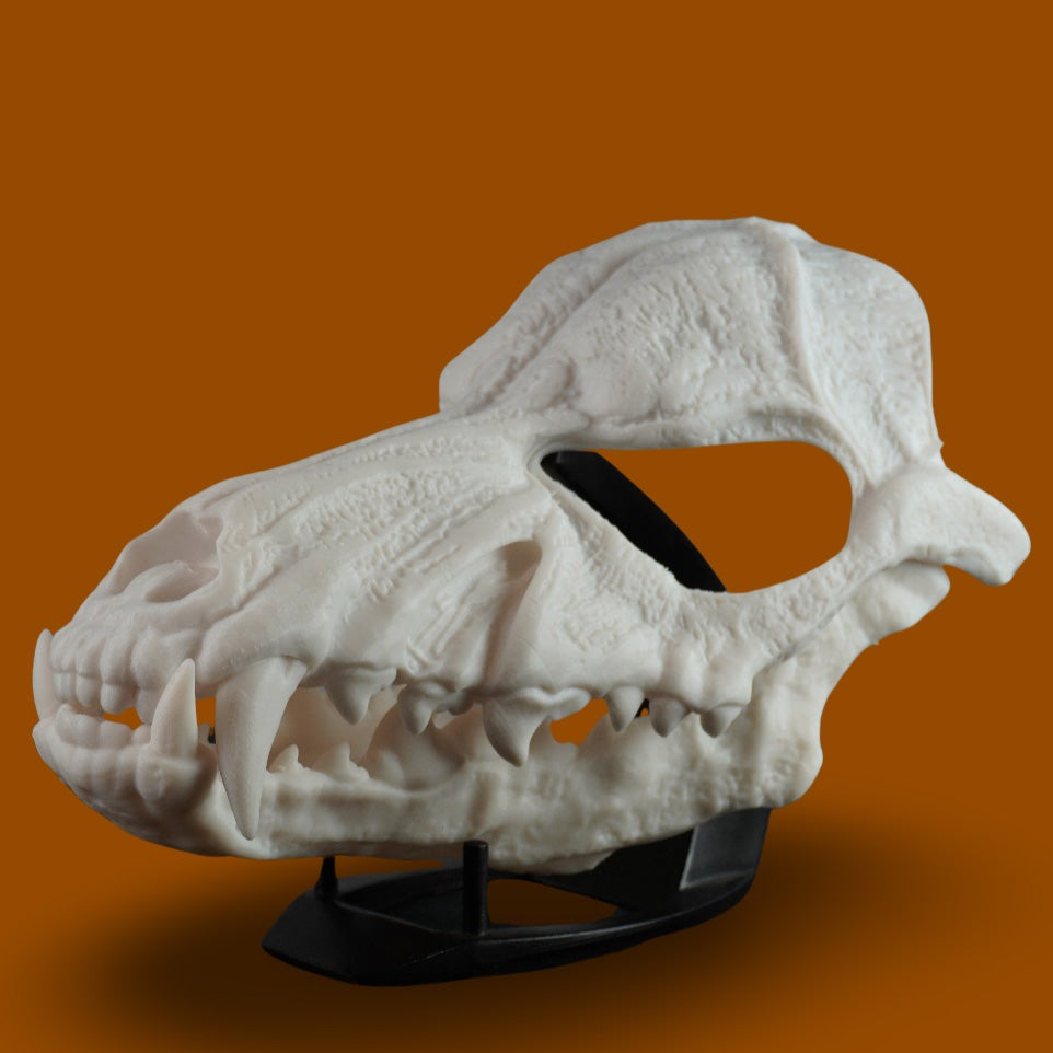 Wolf Skull Mask Raw Kit 3D Print