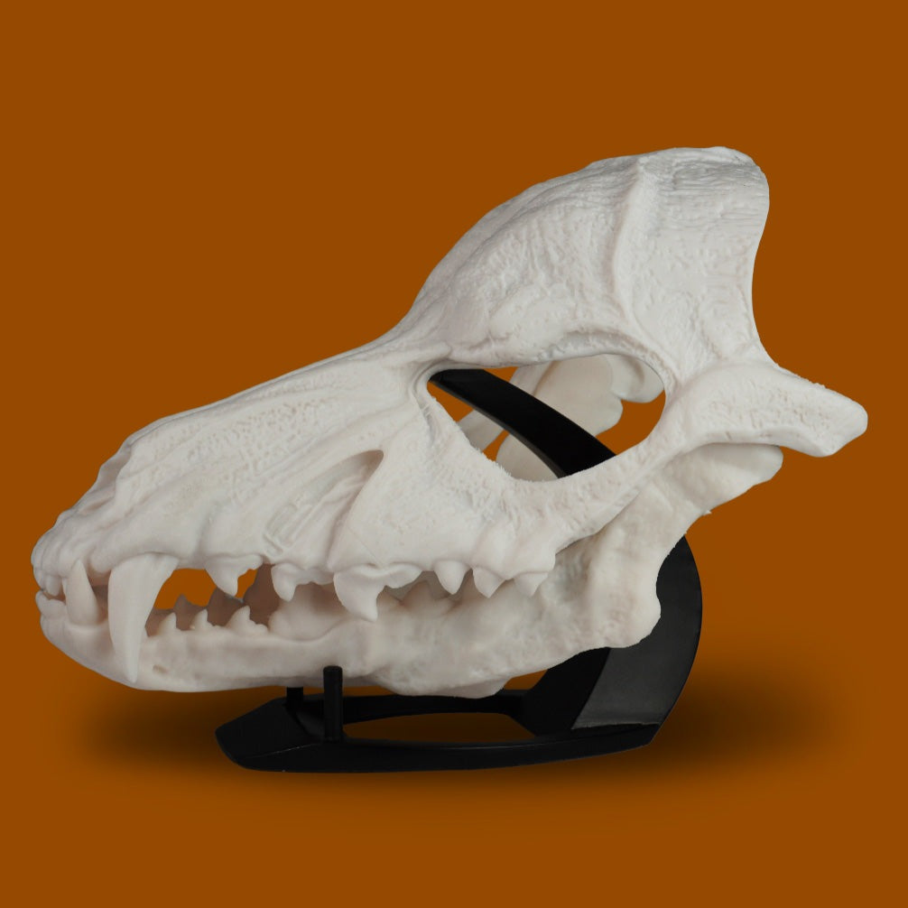 Wolf Skull Mask Raw Kit 3D Print