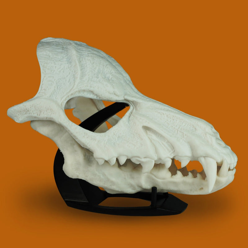 Wolf Skull Mask Raw Kit 3D Print