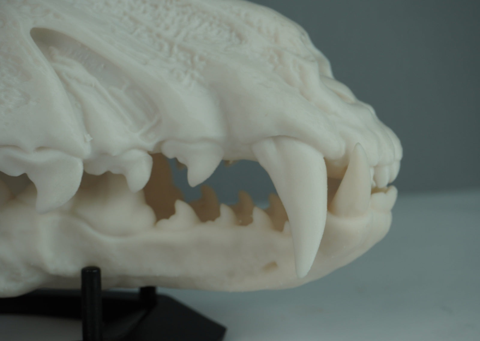 Wolf Skull Mask Raw Kit 3D Print