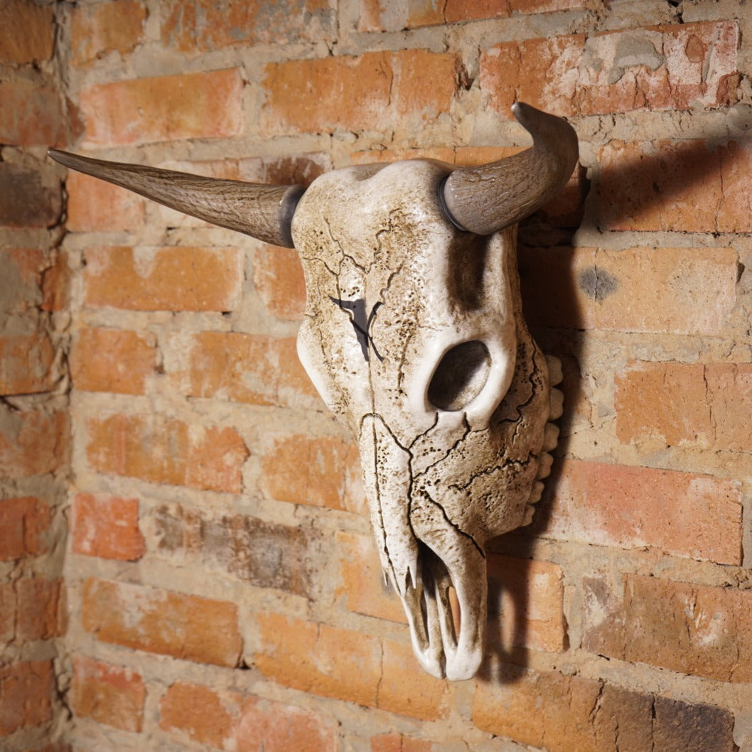 Bull Skull Bone Decor - Bull Horns Wall Sculpture