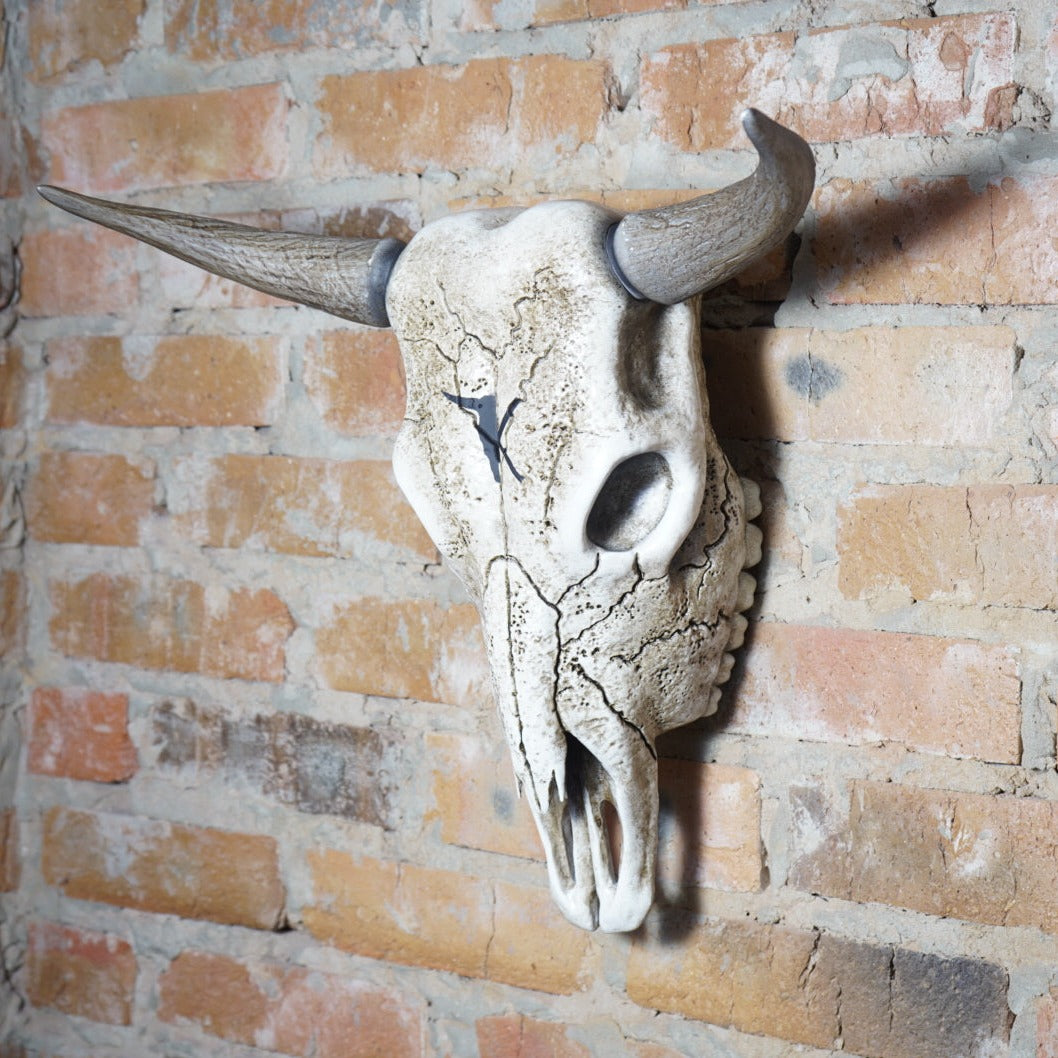 Bull Skull Bone Decor - Bull Horns Wall Sculpture