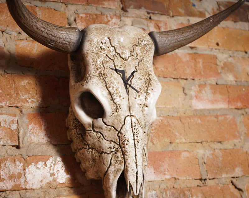 Bull Skull Bone Decor - Bull Horns Wall Sculpture