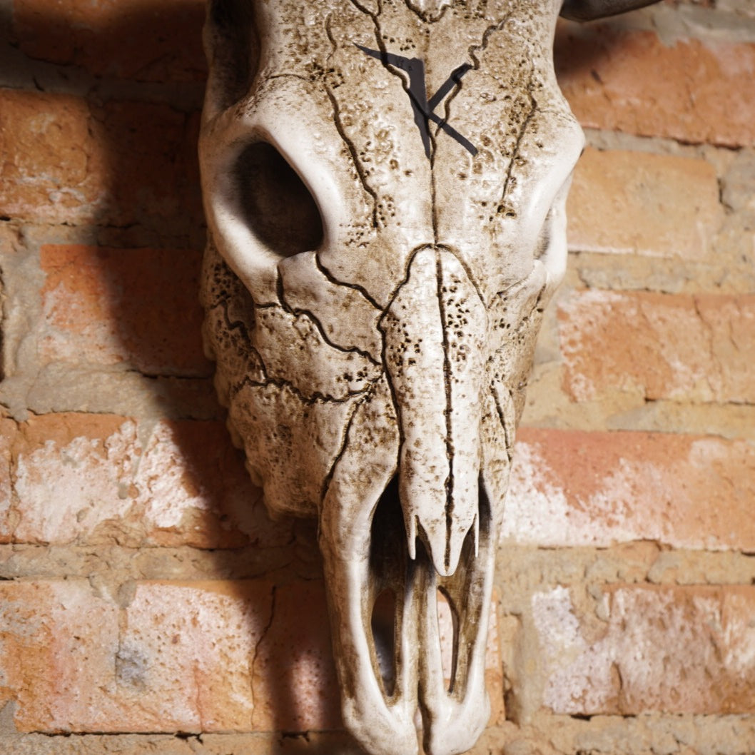 Bull Skull Bone Decor - Bull Horns Wall Sculpture