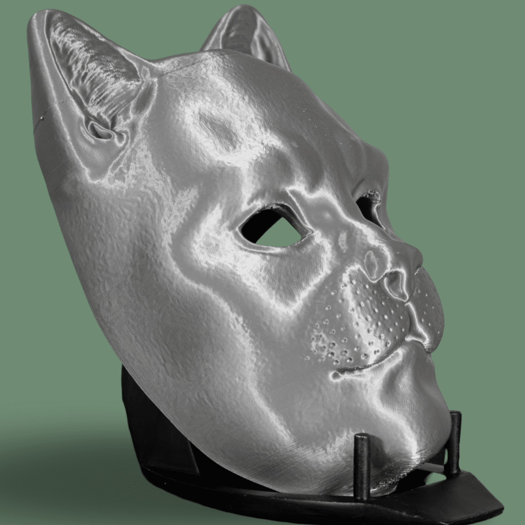 Cat Mask Raw Kit 3D Print