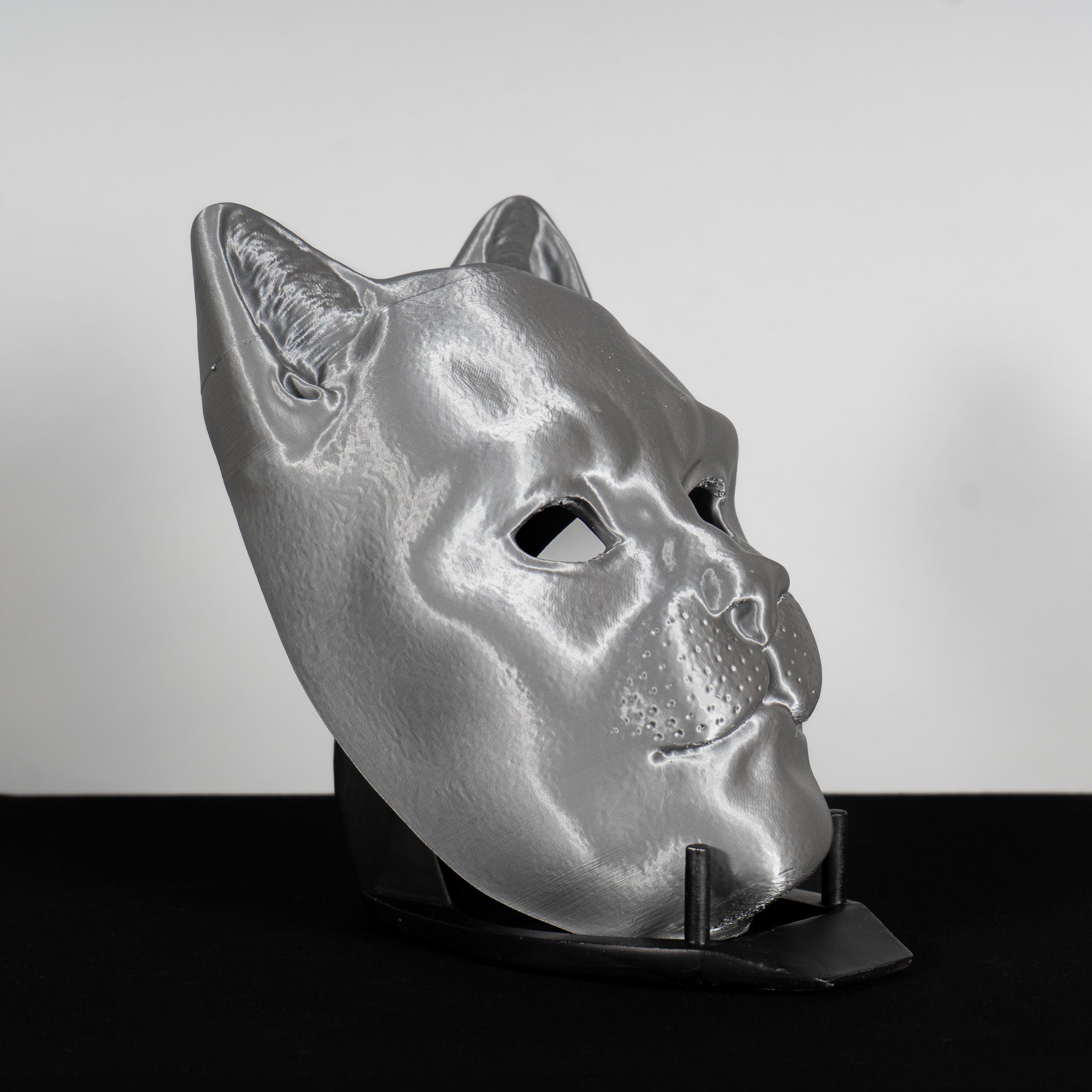 Cat Mask Raw Kit 3D Print