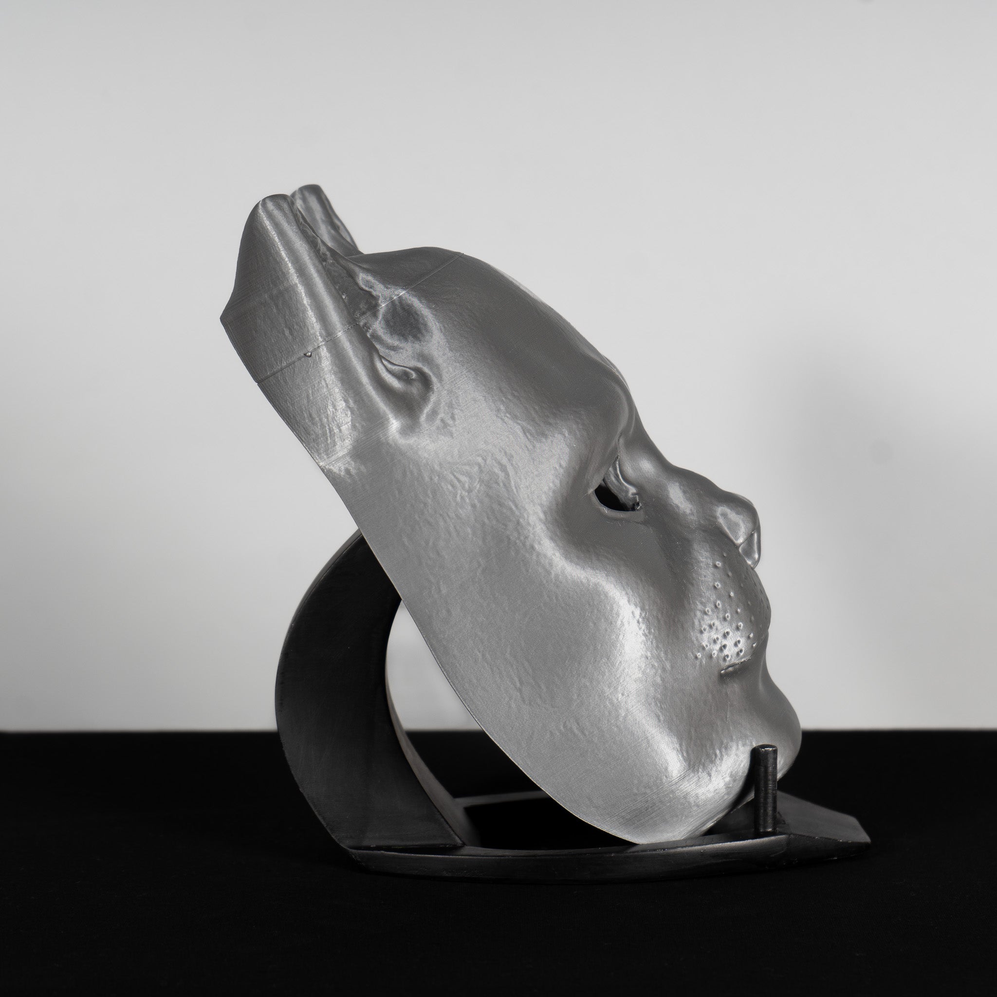 Cat Mask Raw Kit 3D Print