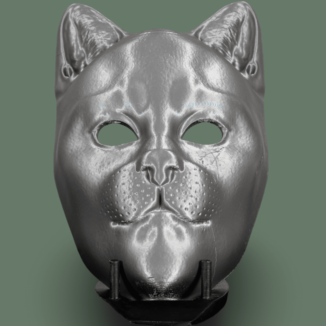 Cat Mask Raw Kit 3D Print