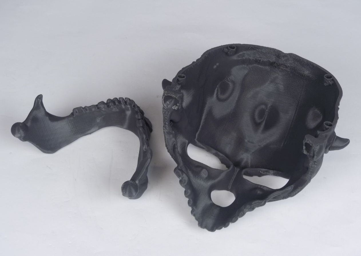 Darth Maul Skull Mask Raw Kit 3D Print