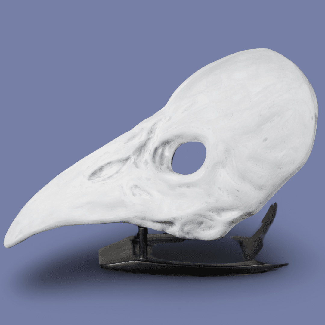 Crow Skull Mask-1 / Raw Kit 3D Print