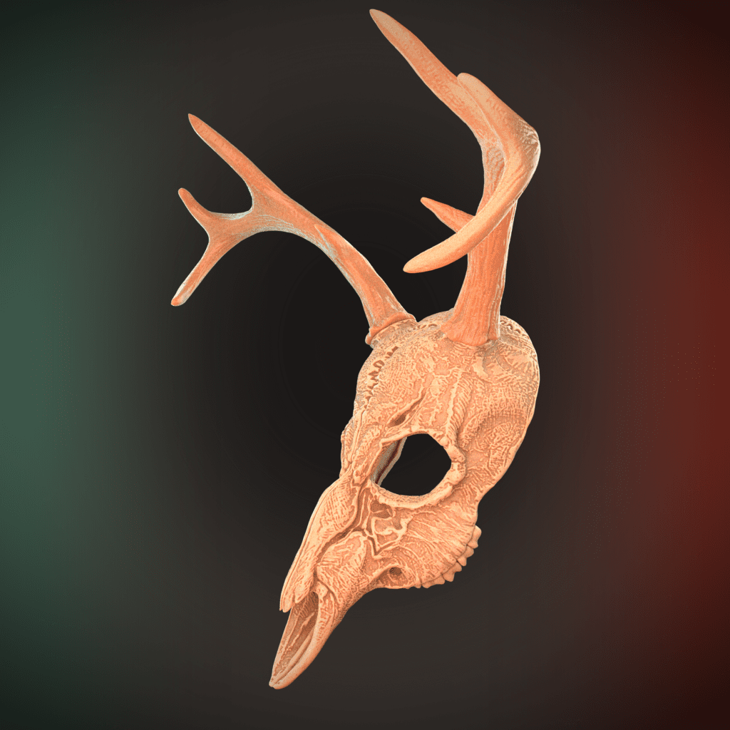 Deer Skull Mask 2 Horns 3D Model STL file