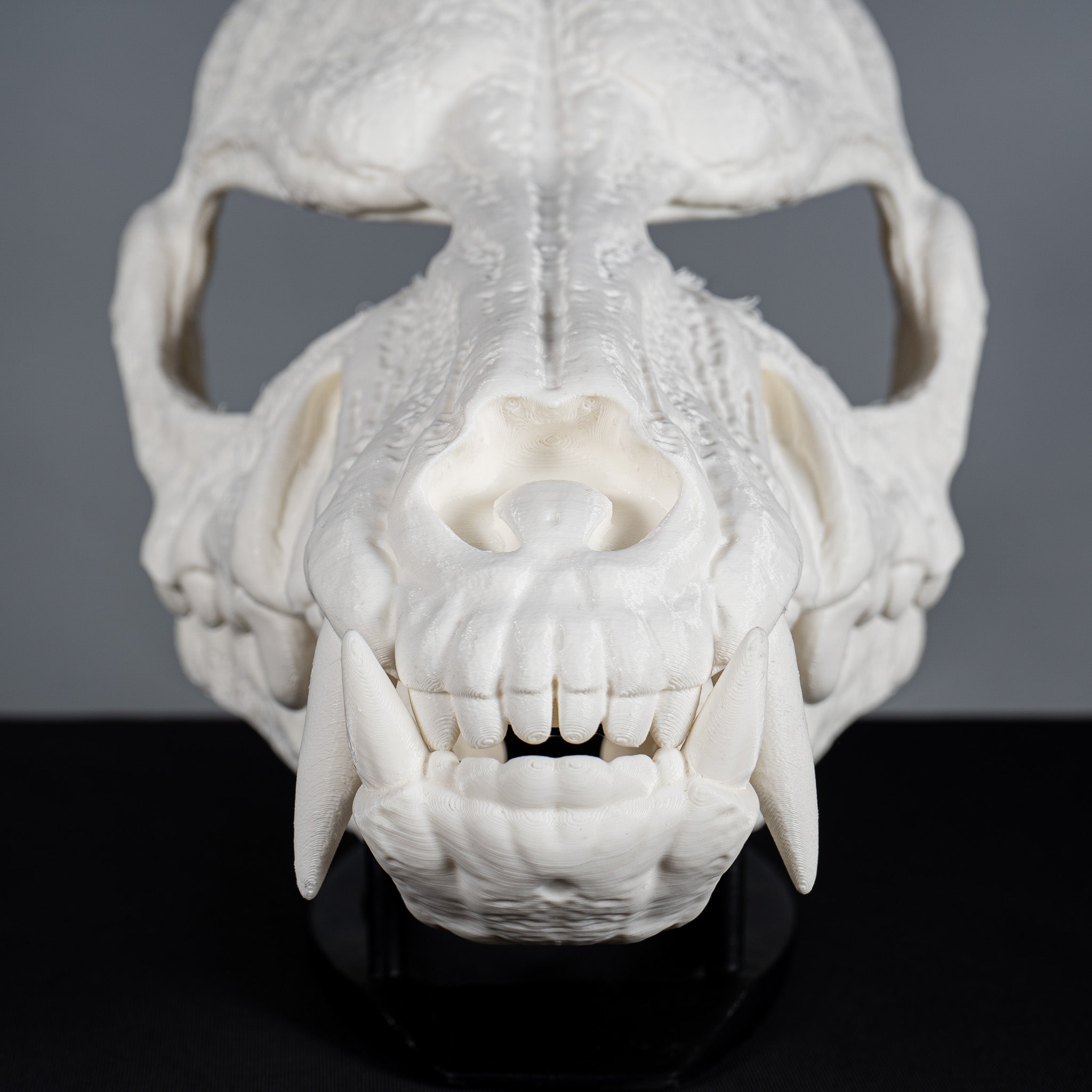 Wolf Skull Mask Raw Kit 3D Print