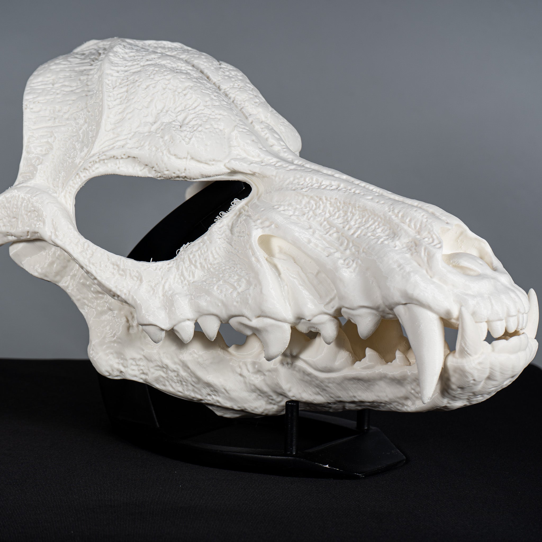 Wolf Skull Mask Raw Kit 3D Print