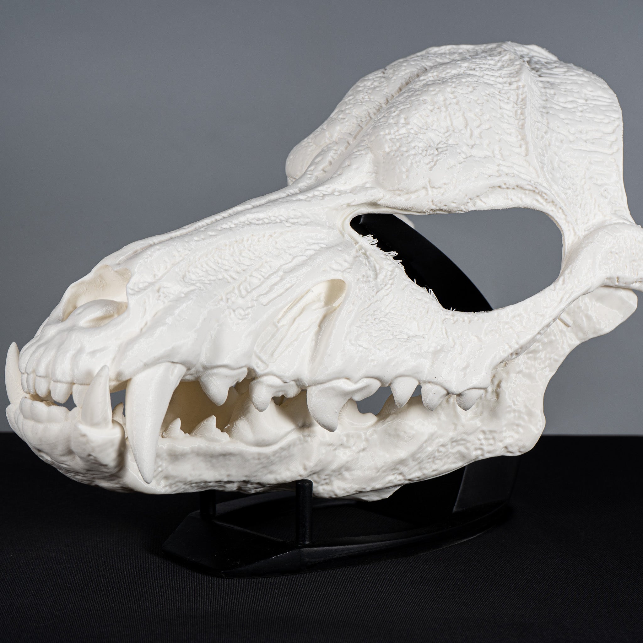 Wolf Skull Mask Raw Kit 3D Print