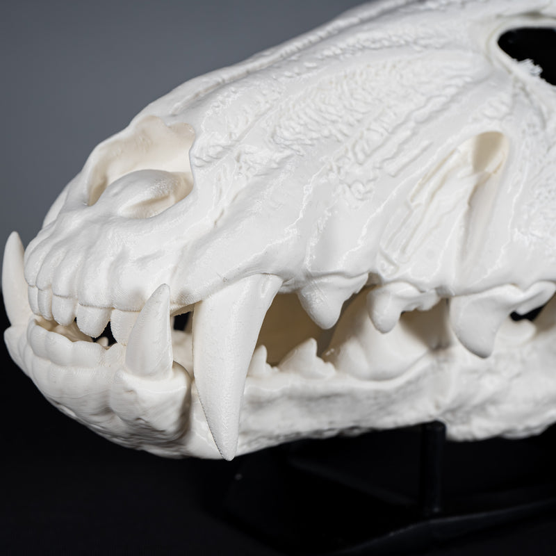 Wolf Skull Mask Raw Kit 3D Print