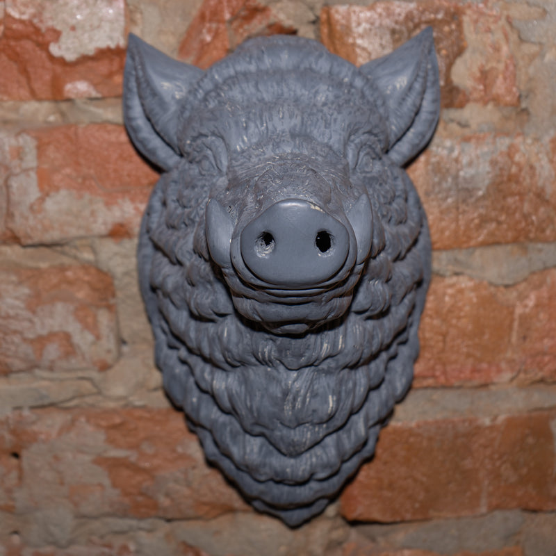 Wild Boar Wall Decor Raw Kit 3D Print