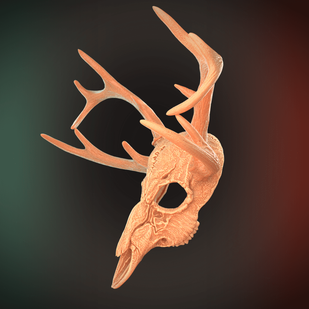 Deer Skull Mask 4 Horns 3D Model STL file