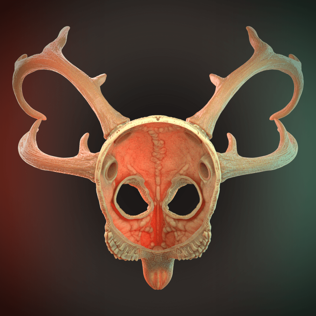 Deer Skull Mask 4 Horns 3D Model STL file