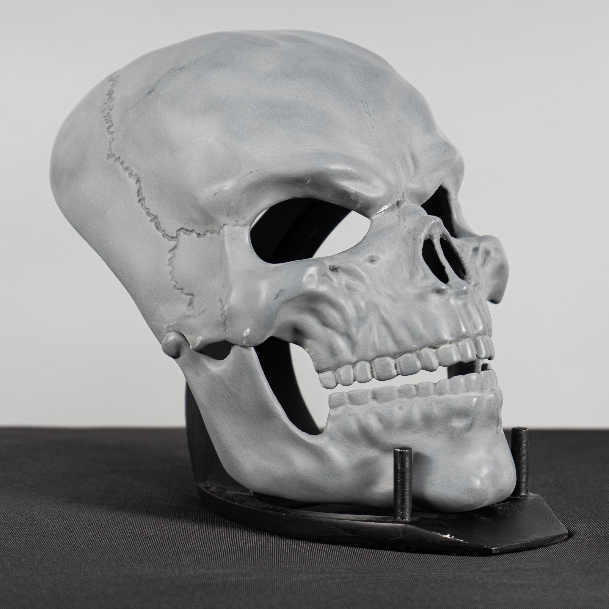 Human Skull Raw Kit 3D Print №6