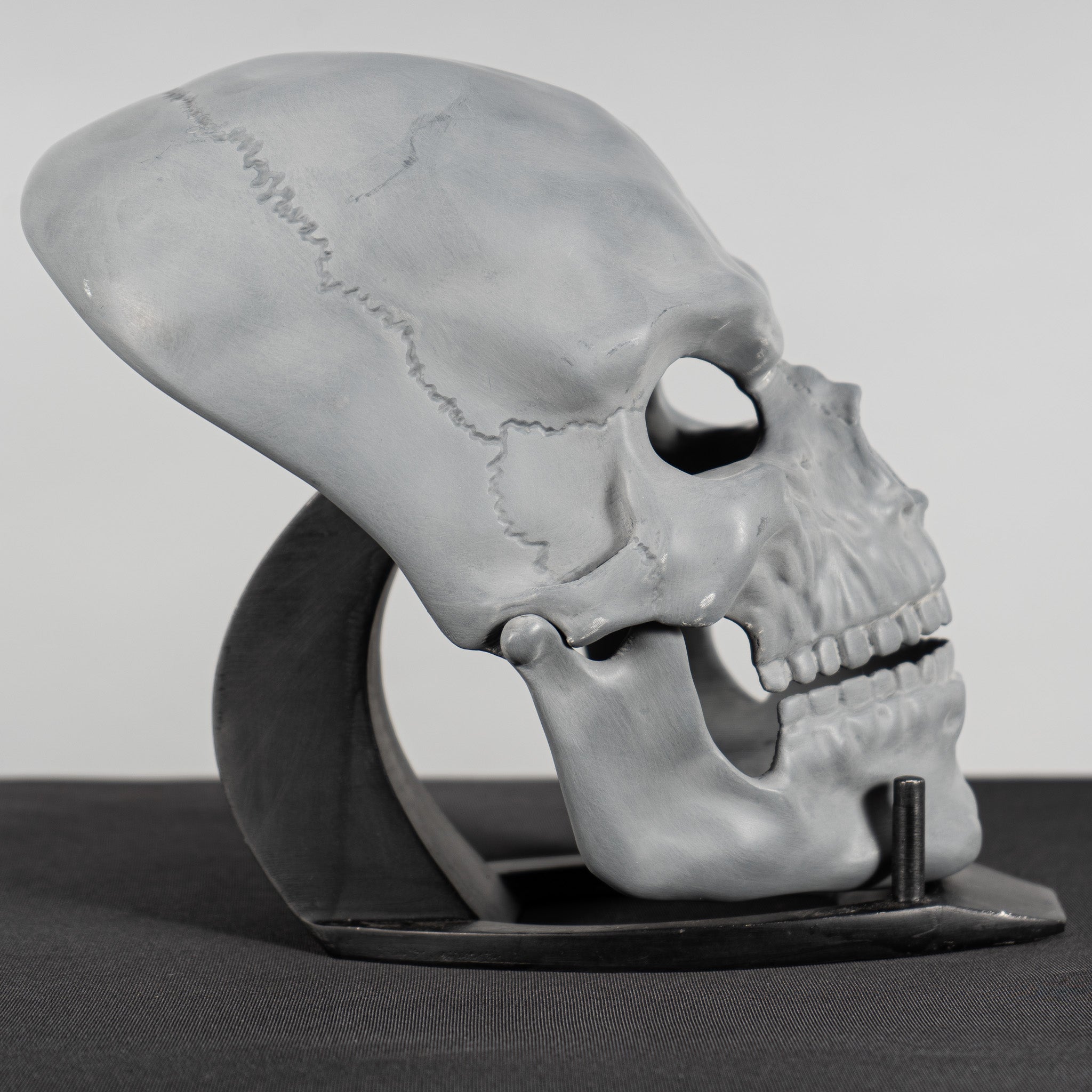 Human Skull Raw Kit 3D Print №6