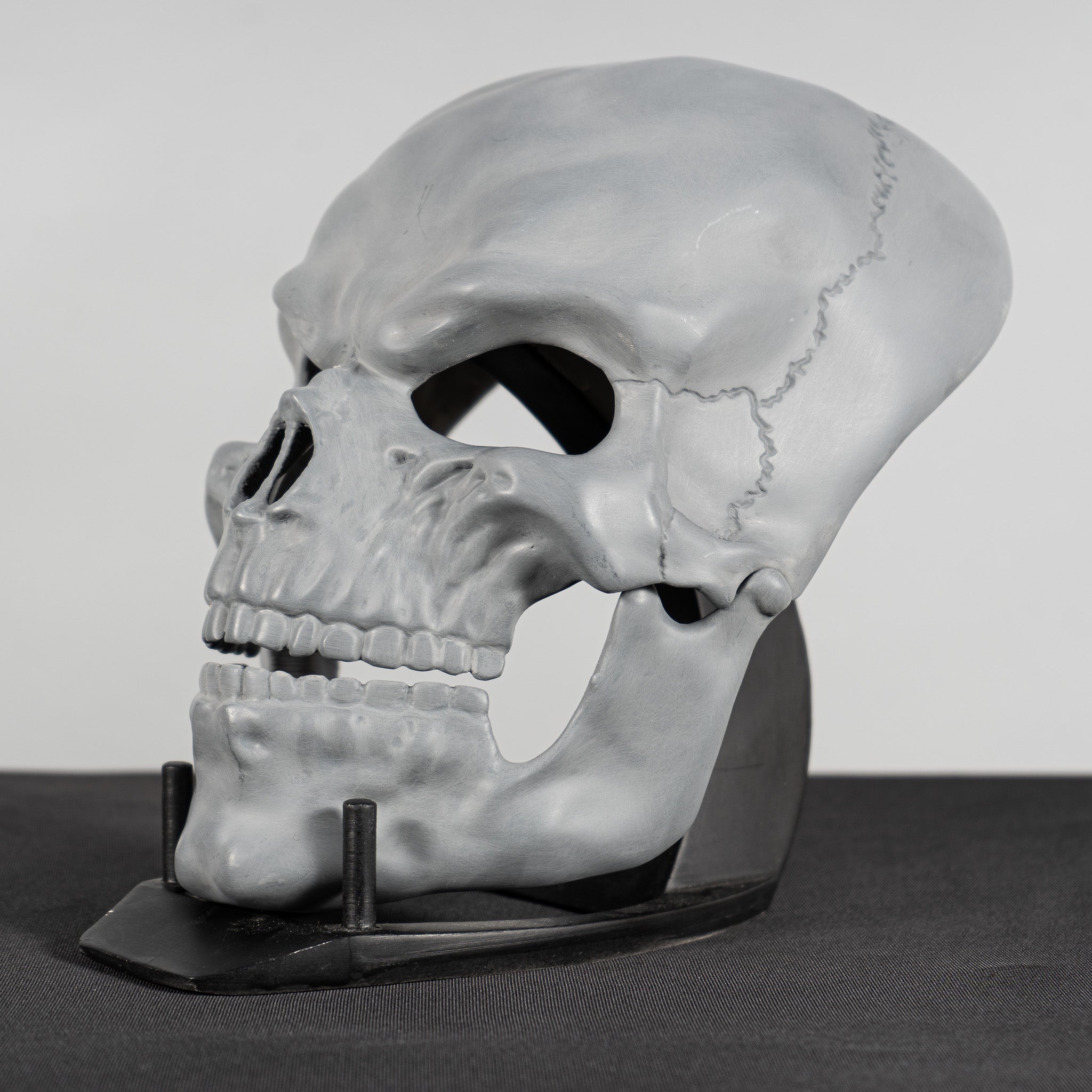 Human Skull Raw Kit 3D Print №6