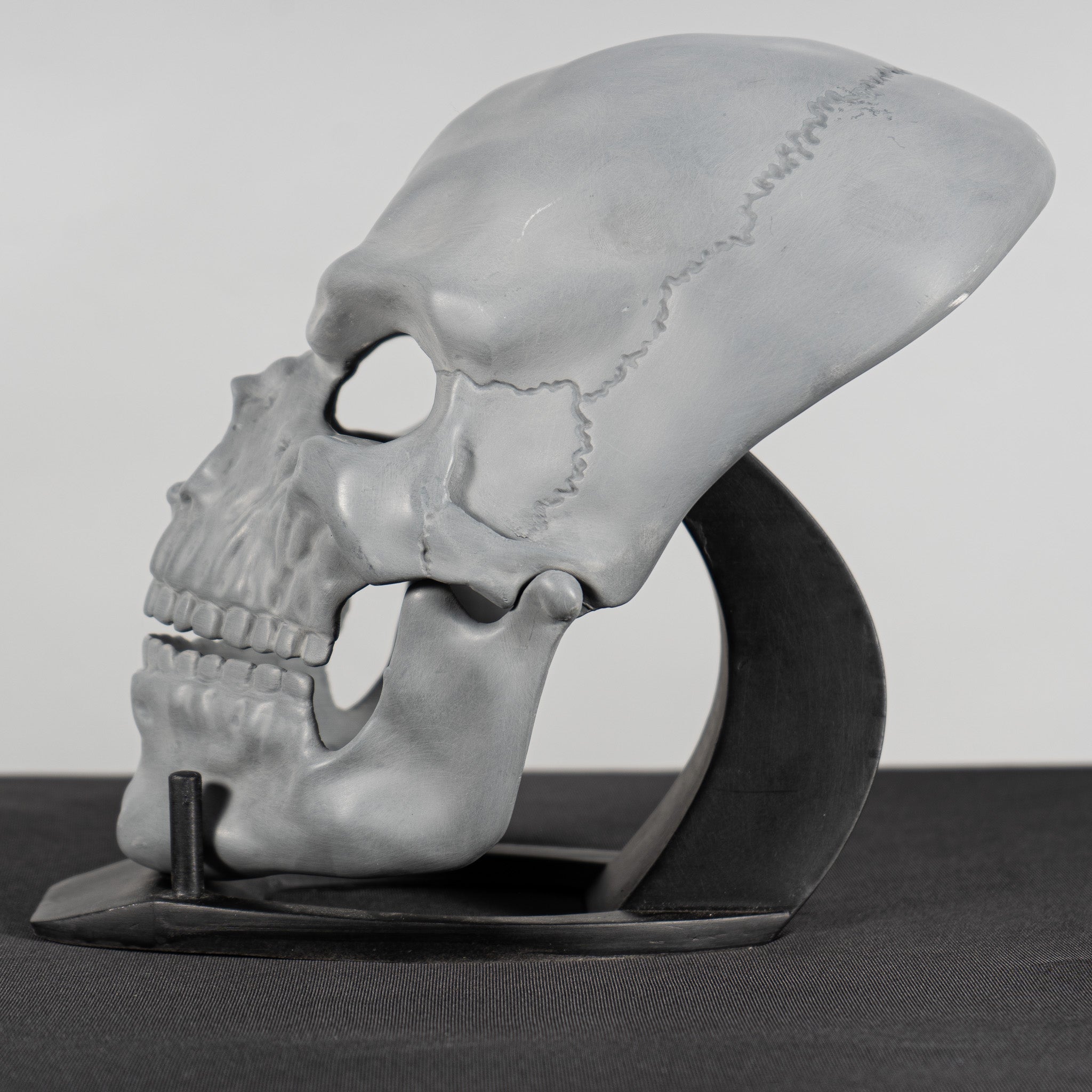 Human Skull Raw Kit 3D Print №6