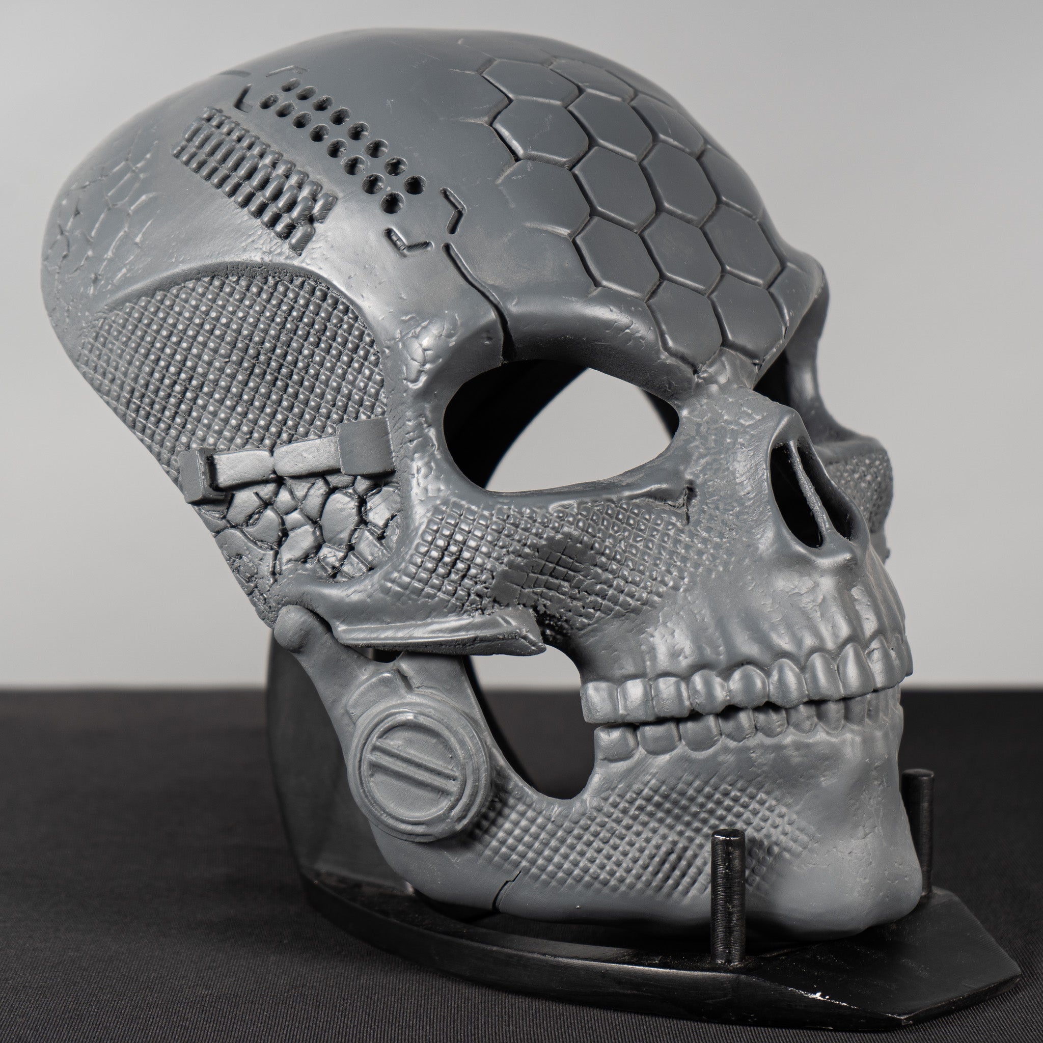 Human Skull Raw Kit 3D Print №2