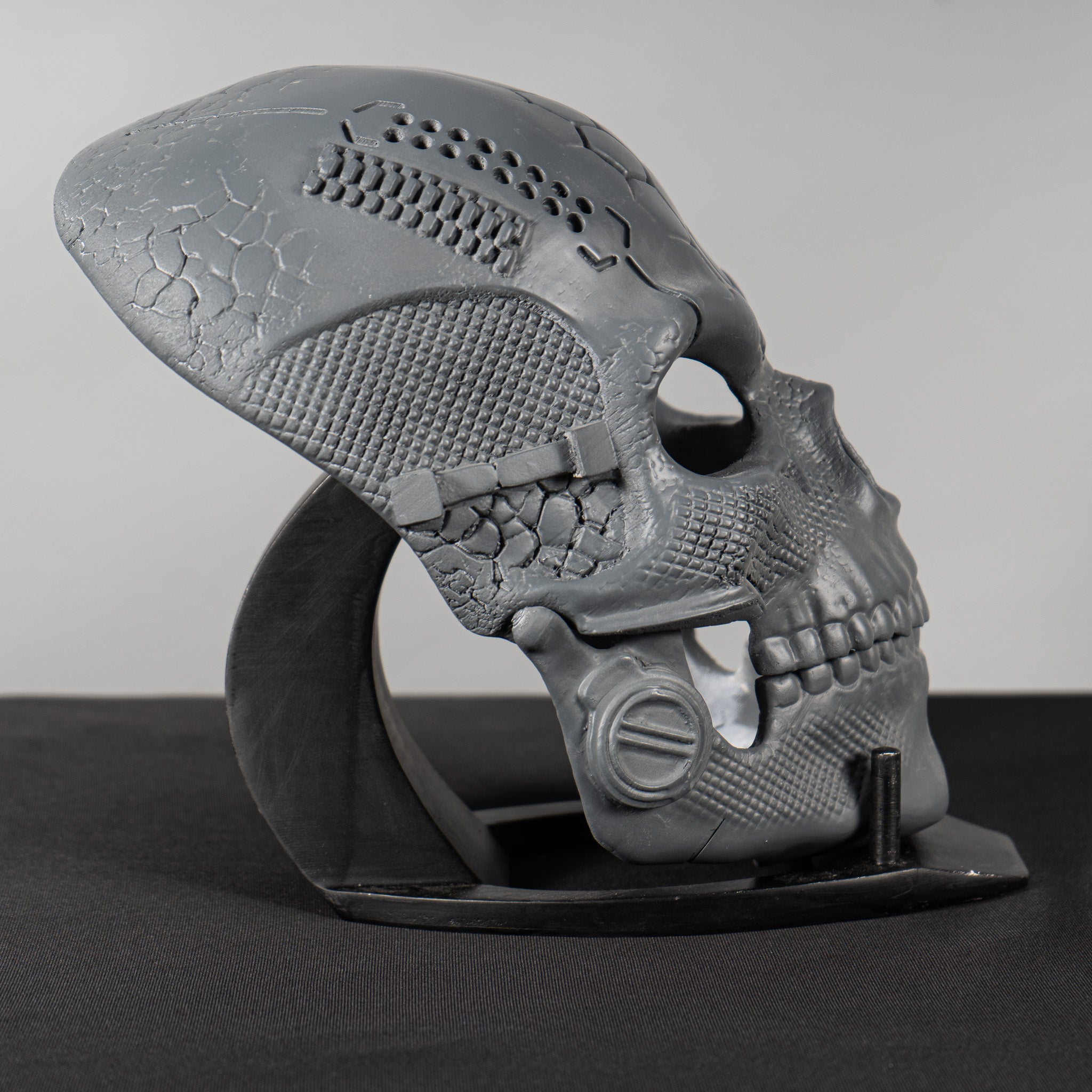 Human Skull Raw Kit 3D Print №2