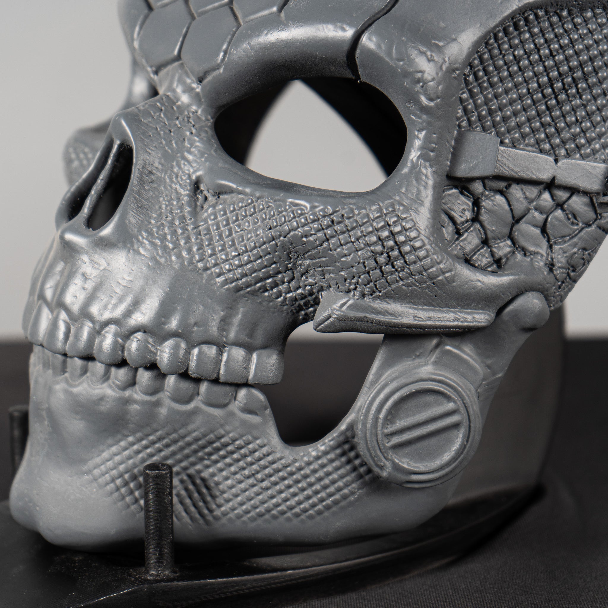 Human Skull Raw Kit 3D Print №2