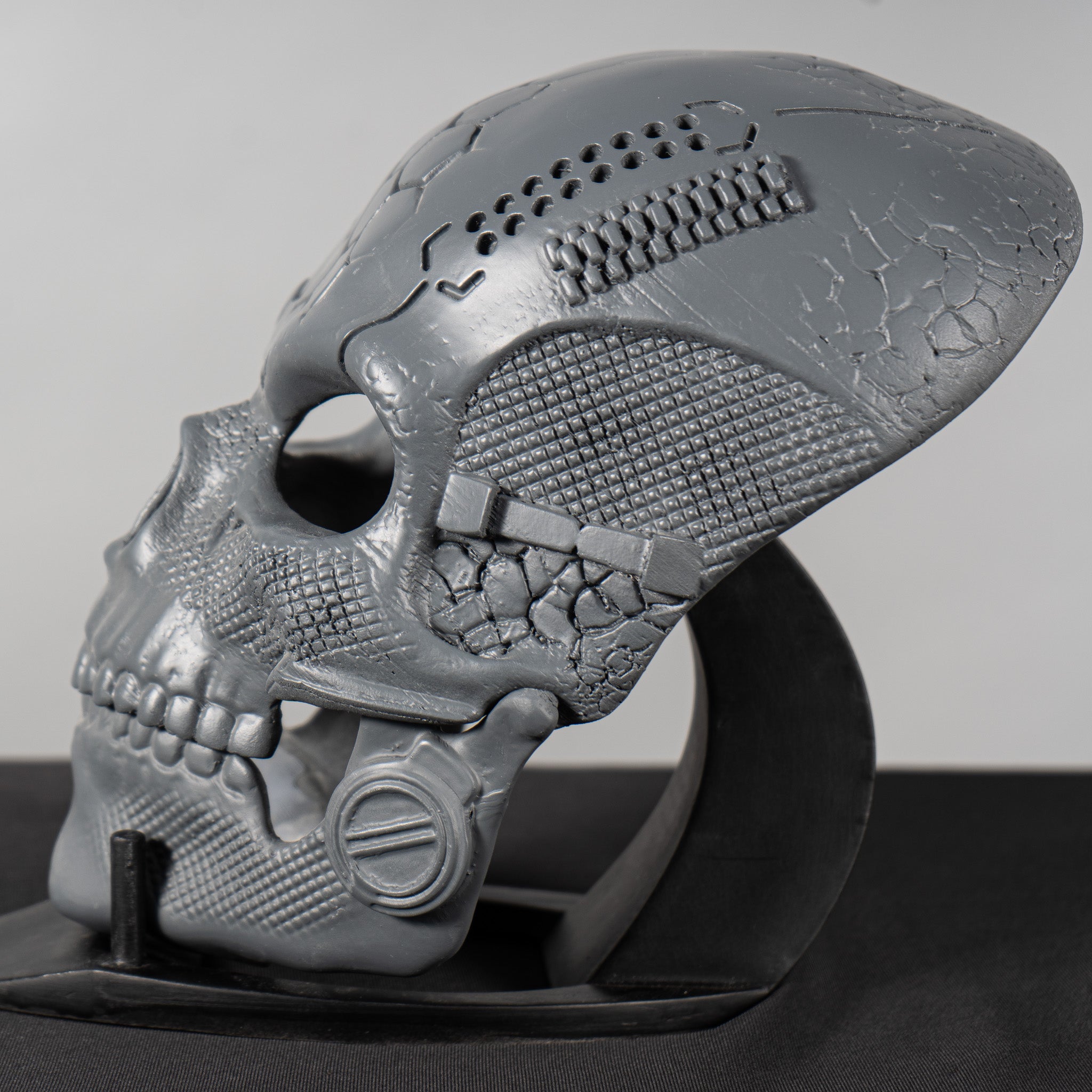 Human Skull Raw Kit 3D Print №2