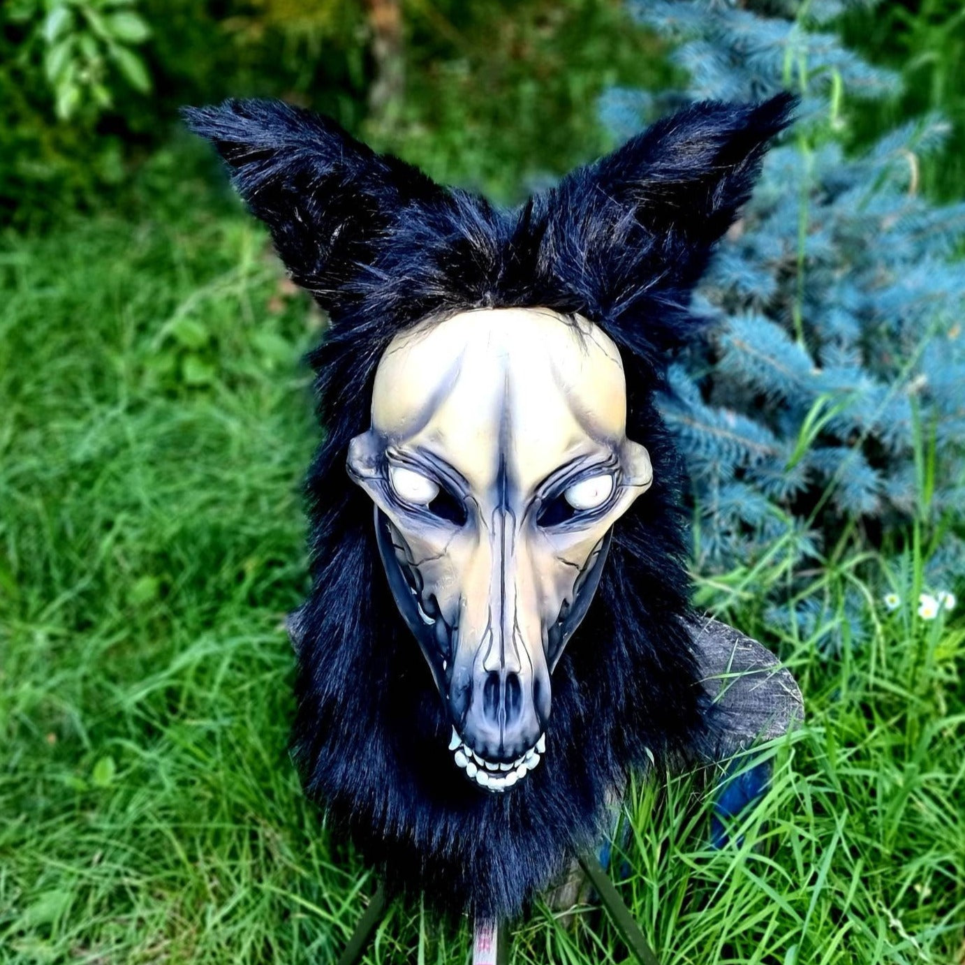 Wolf Skull Mask with Fur / Zombie Werewolf / SCP-1471-A