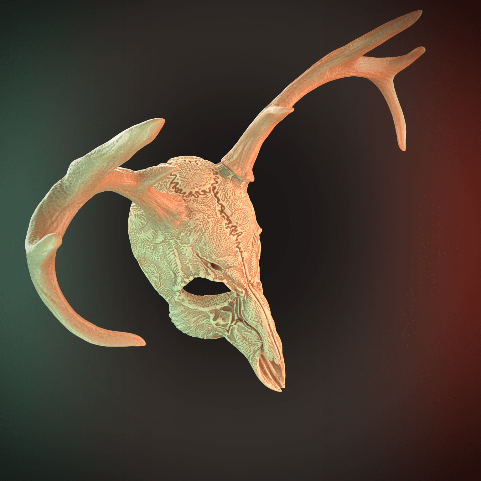 Deer Skull Mask 2 Horns 3D Model STL file