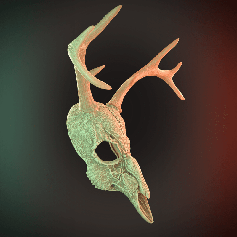 Deer Skull Mask 2 Horns 3D Model STL file