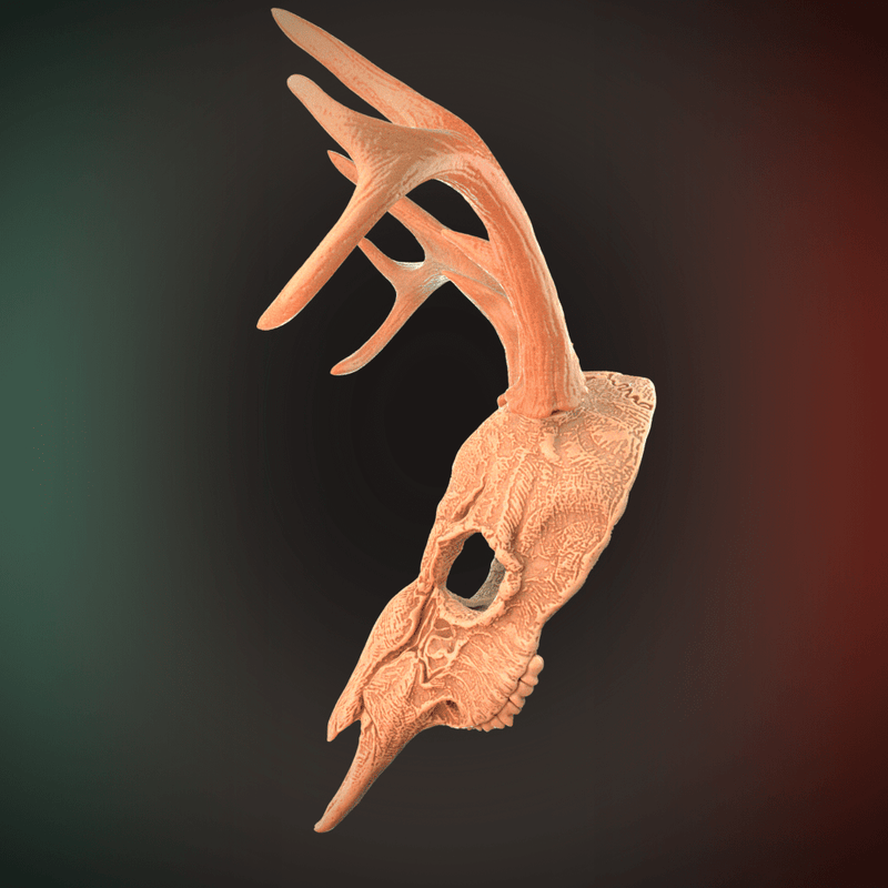 Deer Skull Mask 2 Horns 3D Model STL file